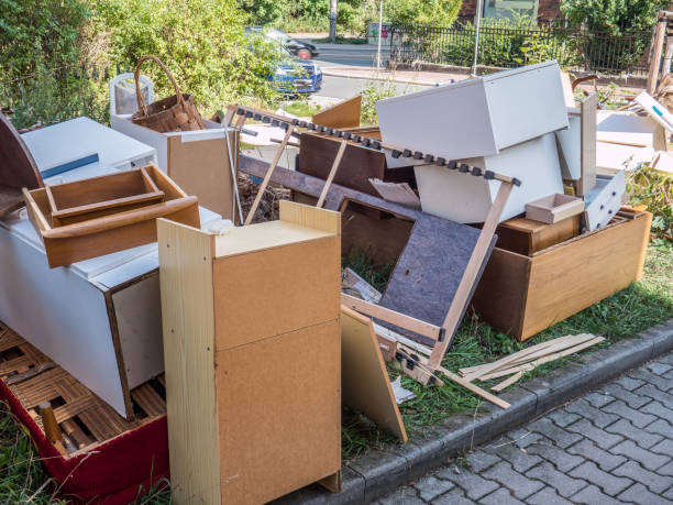 Best Professional Junk Removal  in Hasson Heights, PA